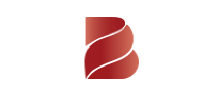 Busam Capital